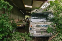Long stay parking - s of old vehicles rot away as nature takes over UK