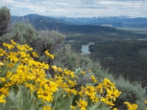 Looking down on the Snake River from Signal Mountain in Grand Teton National Park 