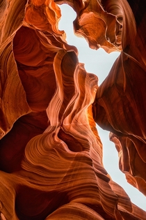 Looking up in Lower Antelope Canyon earlier this month 