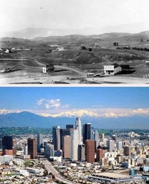 Los Angeles  vs 