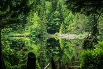 Lost Lake British Columbia Duncan Vogel Photography 