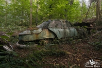 Lost Panhard in the woods France PL I think what do you think 