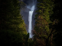 Lots to learn Lower Yosemite Falls Yosemite National Park 