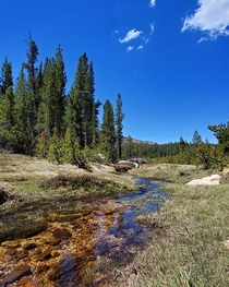Love coming across little streams while hiking Sierra National Forest CA USA 