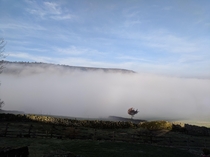 Low level fog in Farndale North York Moors Yorkshire England 