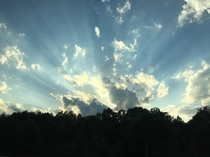 low quality but beautiful from a bus in nc