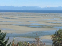 Low tide Parksville British Columbia 