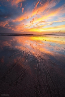 Low tide sunrise Satellite Beach Florida 