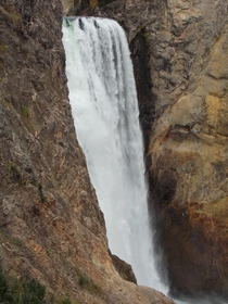 Lower Falls from Uncle Toms Trail Yellowstone National Park 
