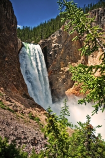 Lower Falls Yellowstone National Park 