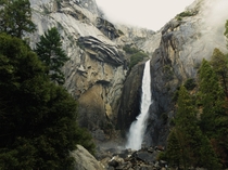 Lower Yosemite falls 