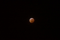 Lunar eclipse from my driveway at - degrees