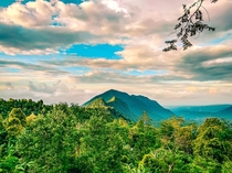 Lush jungle mountain Bali 