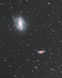 M and M - Bodes Galaxy and The Cigar Galaxy