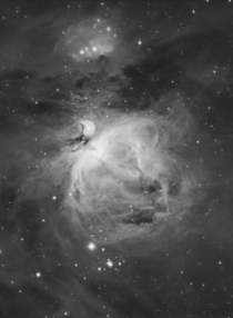 M - The Great Orion Nebula in Hydrogen Alpha