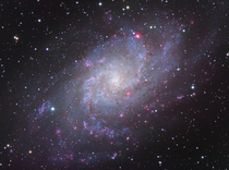 M the Triangulum Galaxy - an  hour exposure from dark skies 