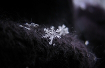 Macro Snowflake Resting on a Mitten Mt Baker WaX