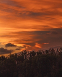 Magical cloudy sunset really loving the tones Piripolis Uruguay