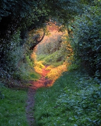 Magical Golden Hour Shropshire England 