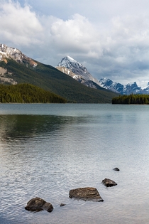 Maligne Lake in Jasper national park 