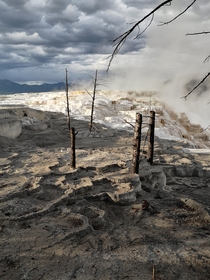 Mammoth Hot Springs Yellowstone after a thunderstorm  OC