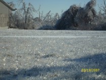 Many Many blades of grass each with its own little ice coat 