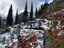 Maple Pass Loop Trail North Cascades 