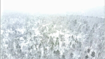 March Snowstorm Willington CT 