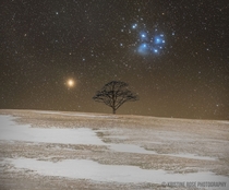 Mars and the Pleiades Beyond Vinegar Hill   Image Credit amp Copyright Kristine Richer