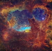 Massive Stars in NGC  