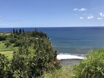 Maui Hawaii the Road to Hana Garden of Eden OC