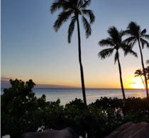 Maui Hawaii  x