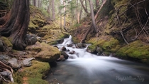 May creek North Cascades National Park Washington 