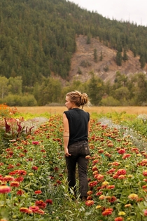 Me in our Cut Flower Garden  - British Columbia Canada