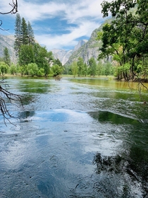 Meadow and stream in Yosemite last week OC 