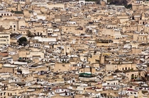 Medina Rooftops  Fez Morocco 
