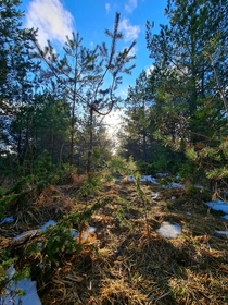 Melting snow Estonia Saaremaa 