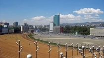Meskel Square Addis Ababa Ethiopia 