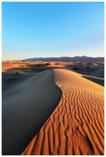 Mesquite Dunes - Death Valley 