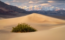 Mesquite Flat Sand Dunes in Death Valley CA 
