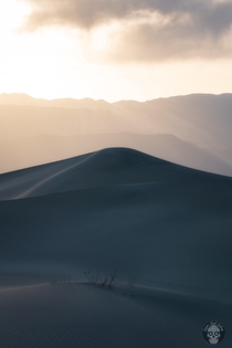 Mesquite sand dunes in Death Valley California 