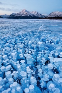 Methane bubbles frozen in a lake  x-post from rwoahdude