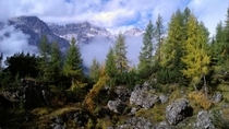 MIDDLE-EARTH in South Tyrol 