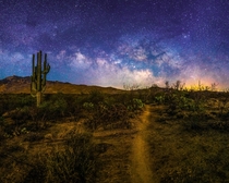Midnight Hike Along the Arizona Trail 