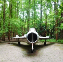 MiG- Farmer Abandoned in Shanghai Forest