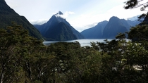 Milford sound New Zealand is magical 