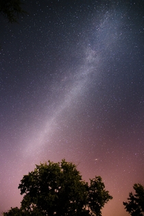 Milky Way above a tree