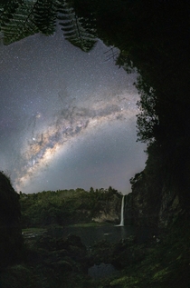 Milky Way framed by ferns in New Zealand 
