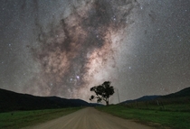 Milky Way rising above a lone tree and dirt road  minutes outside of Canberra Australia 