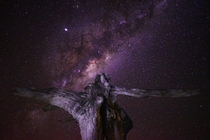 Milky way rising over an upturned tree stump 